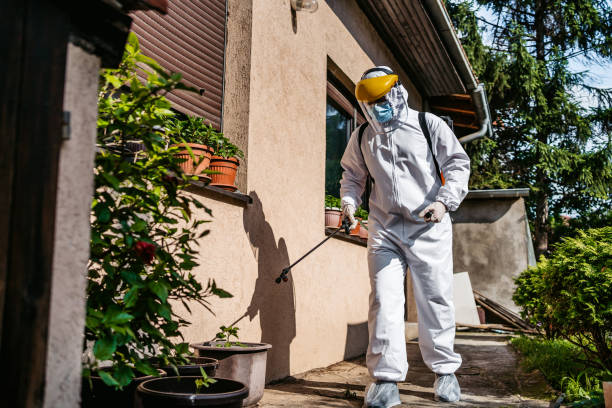 Best Flea Control Services  in Marsing, ID