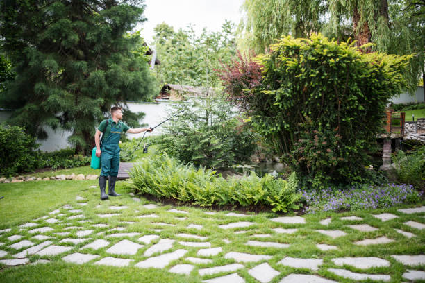 Pest Prevention Services in Marsing, ID