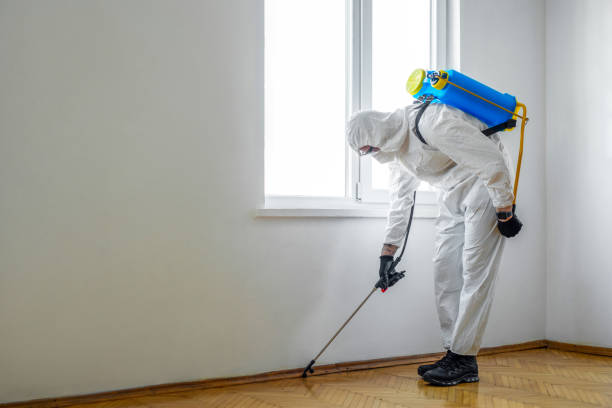Best Flea Control Services  in Marsing, ID