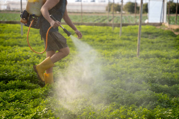 Best Pest Prevention Services  in Marsing, ID