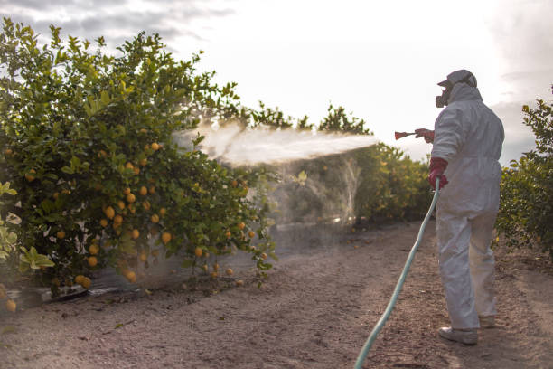 Best Wildlife Control Services  in Marsing, ID