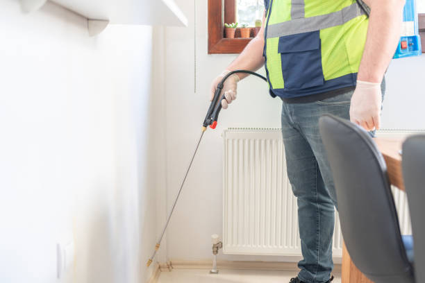 Best Termite Control Services  in Marsing, ID