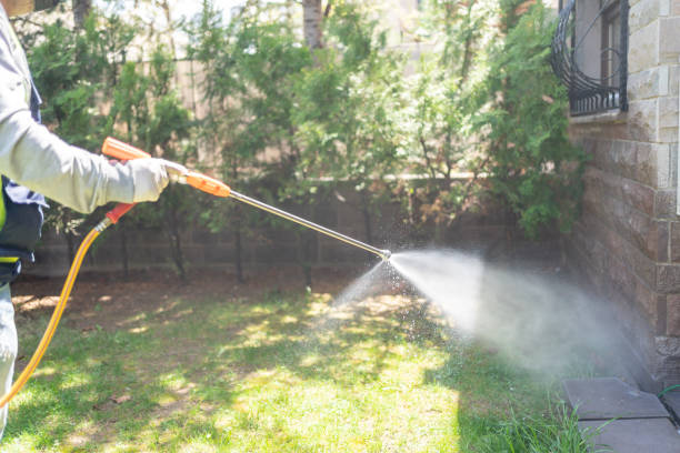 Best Best Pest Control Companies  in Marsing, ID