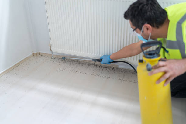 Best Pest Control for Restaurants  in Marsing, ID
